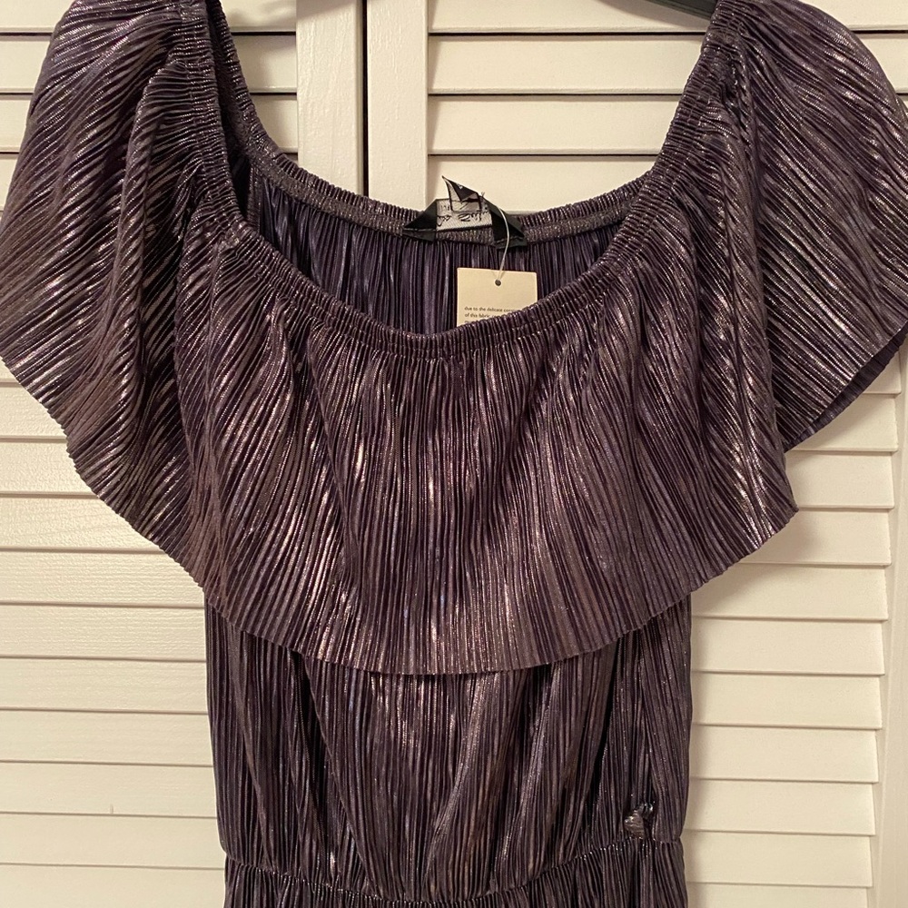 Shimmery pleaded off the shoulder dress. Tea length